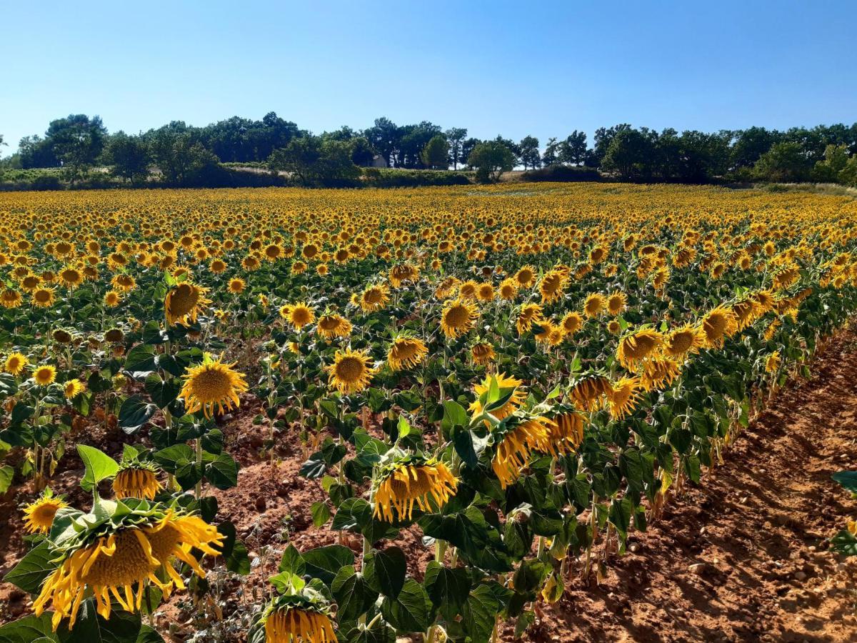 La Dolce, Luberon Bed & Breakfast