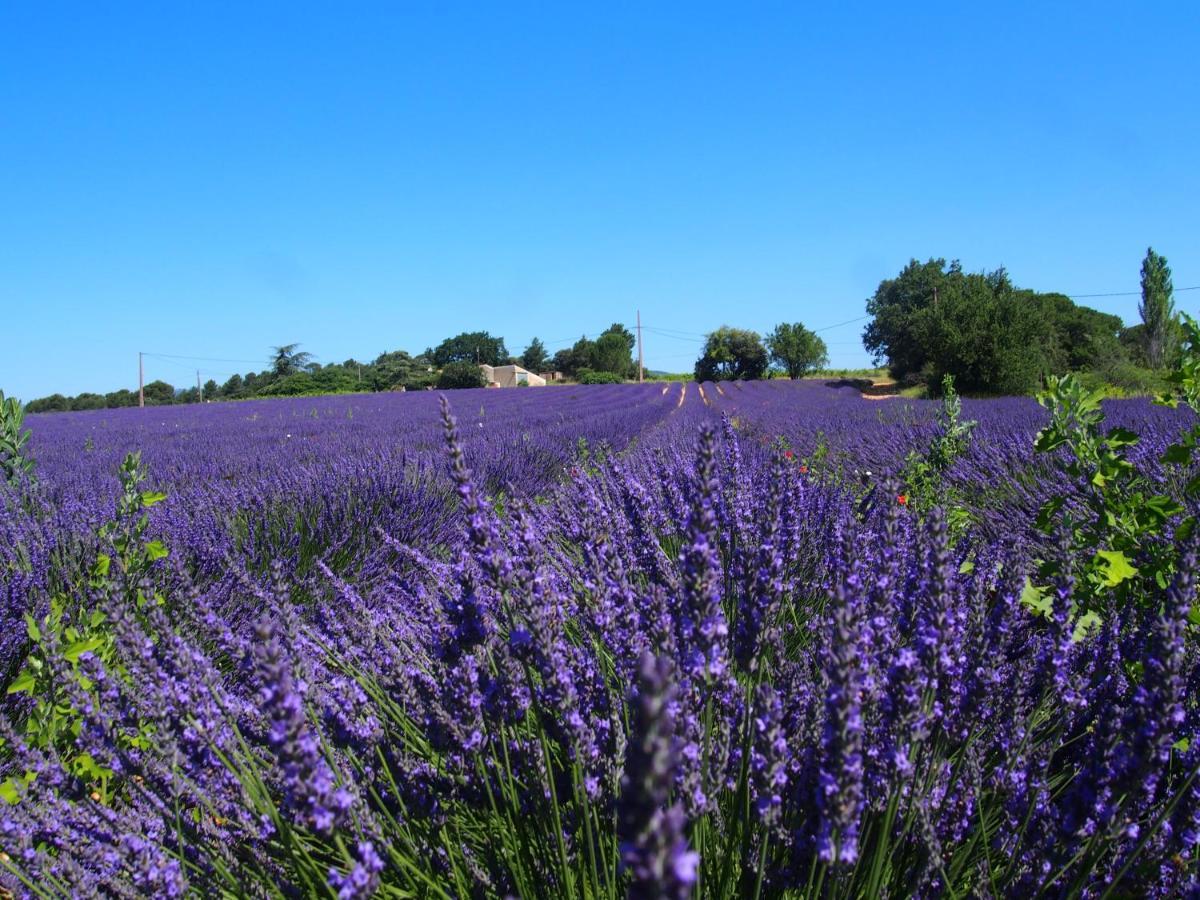 Bed & Breakfast La Dolce, Luberon *