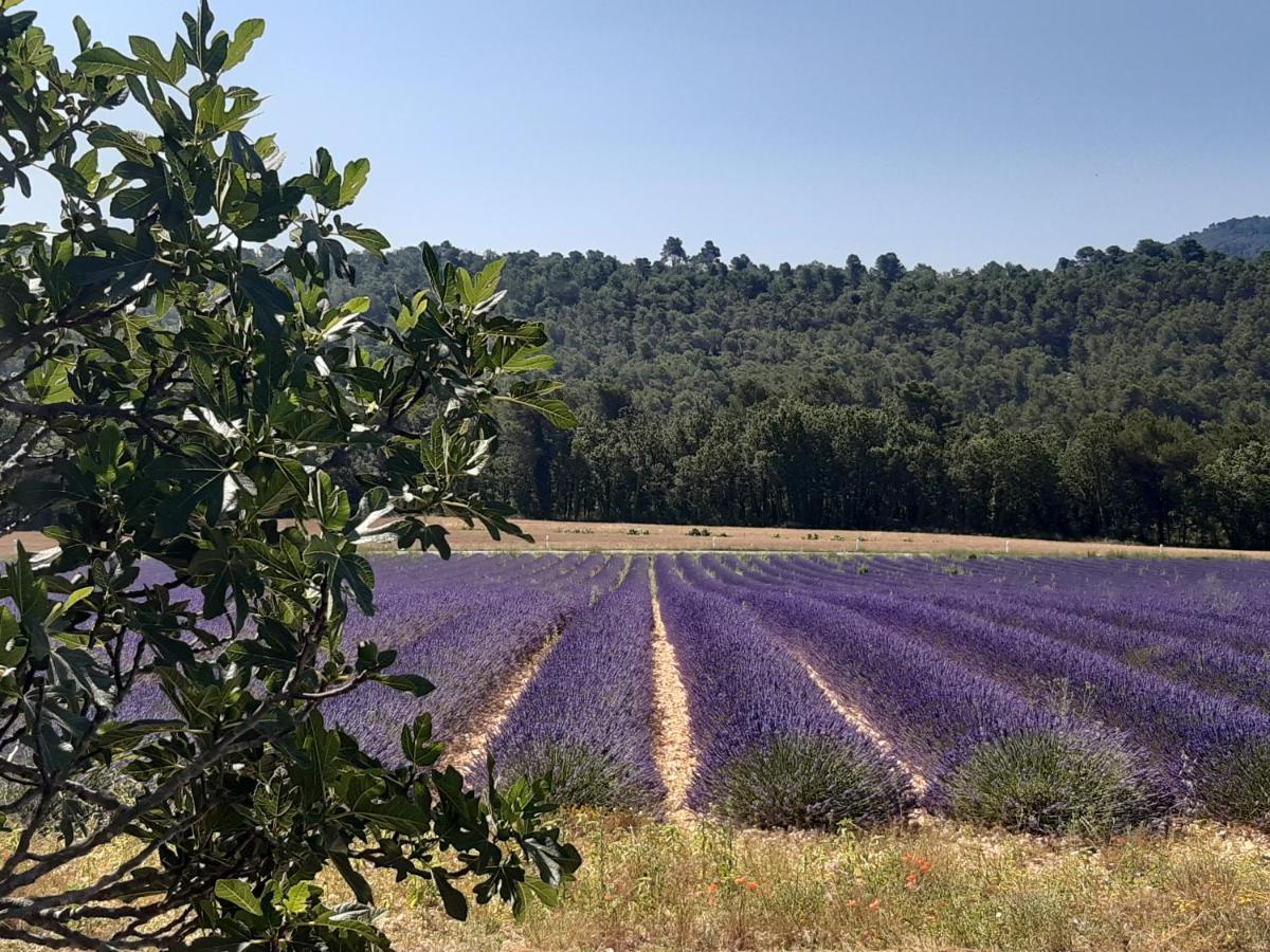 La Dolce, Luberon Bed & Breakfast Grambois