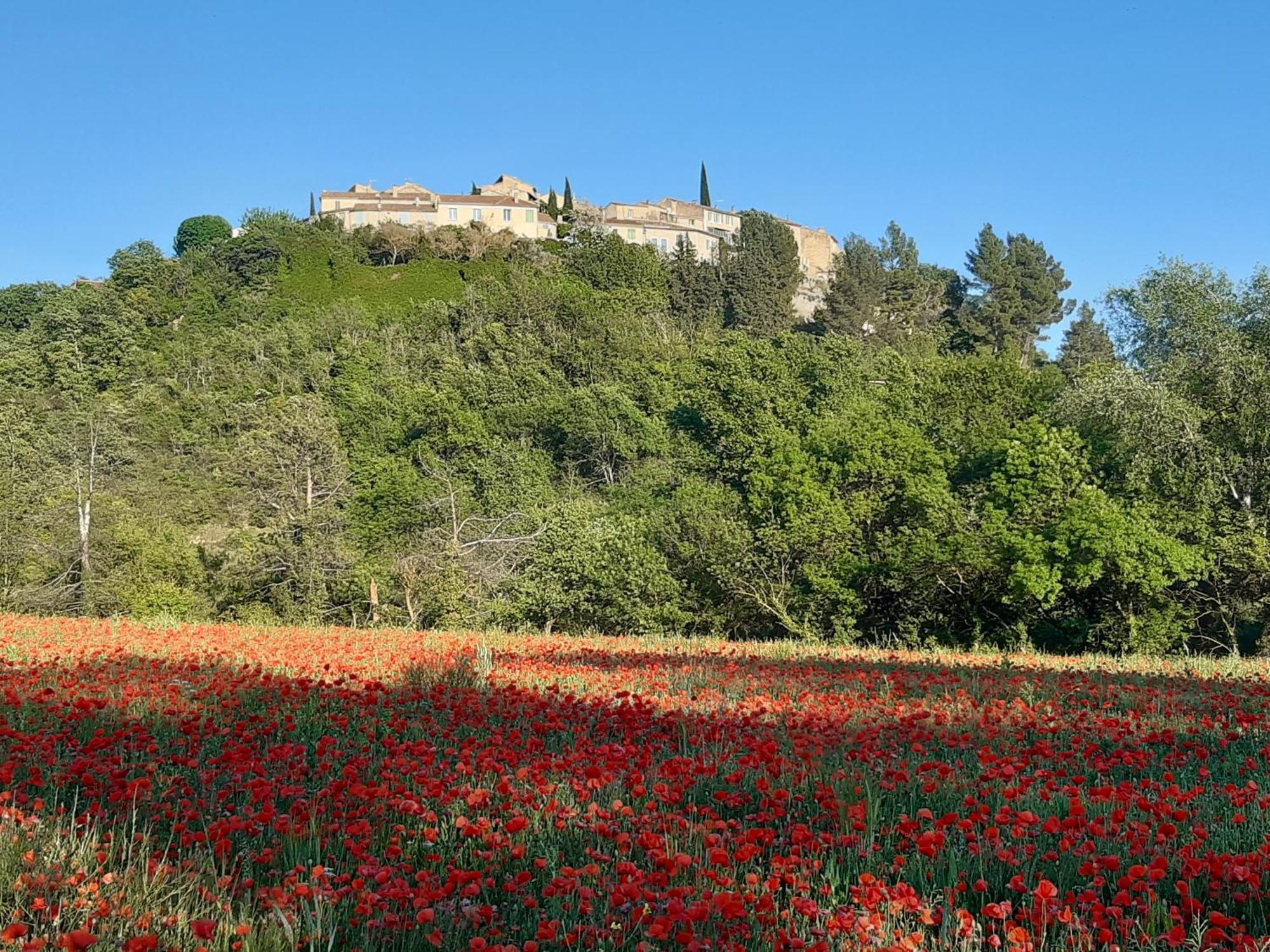 Couette-café La Dolce, Luberon Grambois